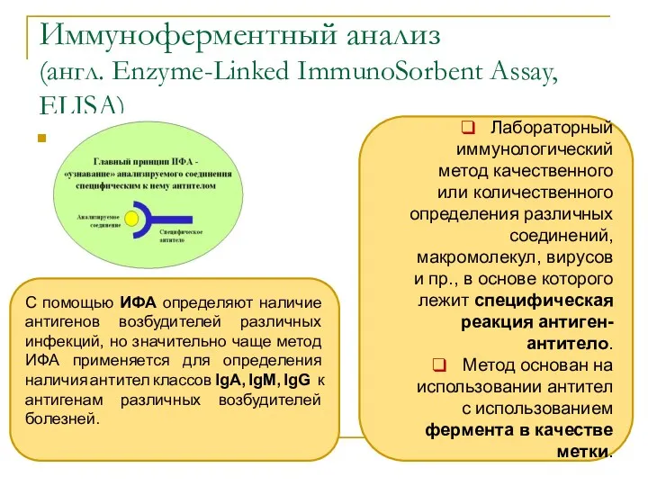 Иммуноферментный анализ (англ. Enzyme-Linked ImmunoSorbent Assay, ELISA) Лабораторный иммунологический метод