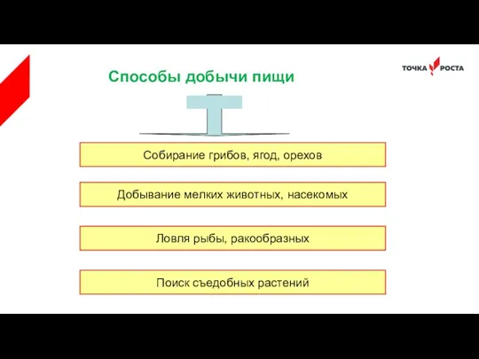 Способы добычи пищи Собирание грибов, ягод, орехов Добывание мелких животных,