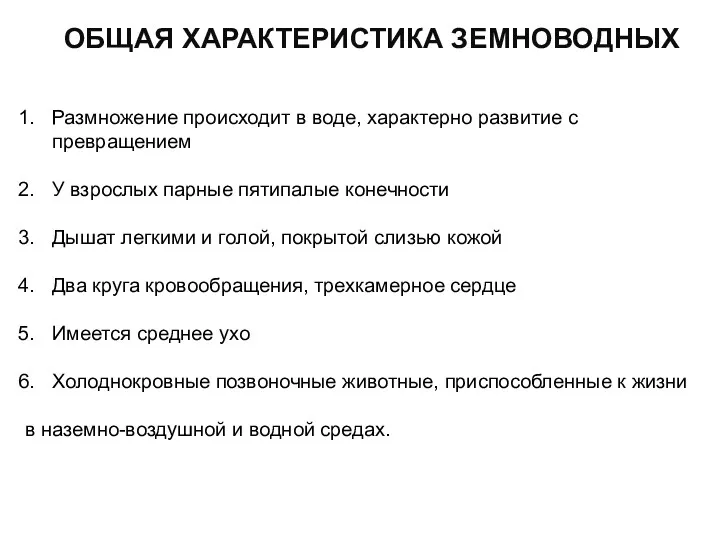 ОБЩАЯ ХАРАКТЕРИСТИКА ЗЕМНОВОДНЫХ Размножение происходит в воде, характерно развитие с