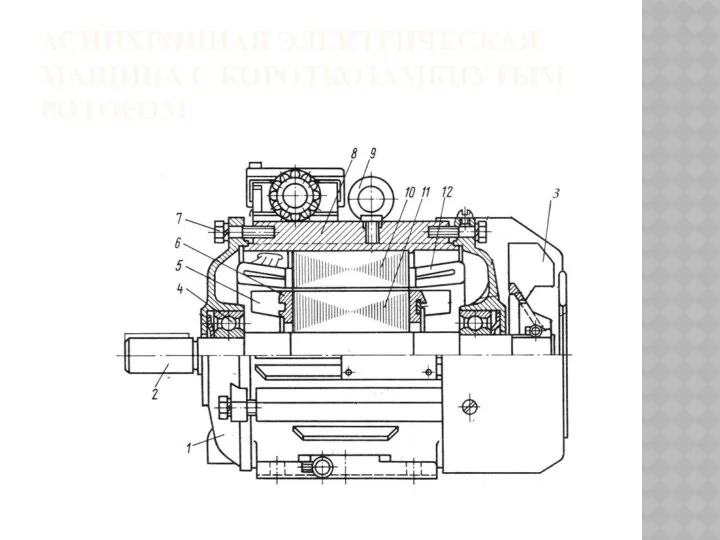 АСИНХРОННАЯ ЭЛЕКТРИЧЕСКАЯ МАШИНА С КОРОТКОЗАМКНУТЫМ РОТОРОМ