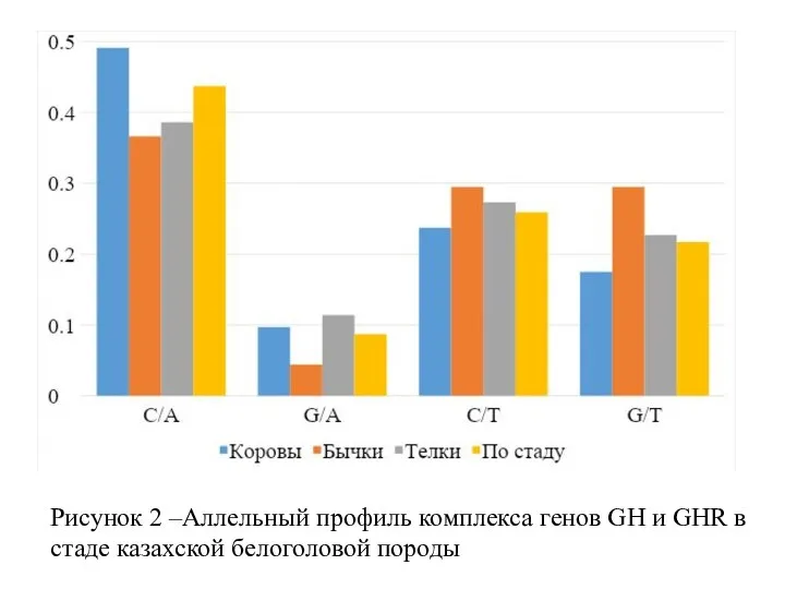 Рисунок 2 –Аллельный профиль комплекса генов GH и GHR в стаде казахской белоголовой породы