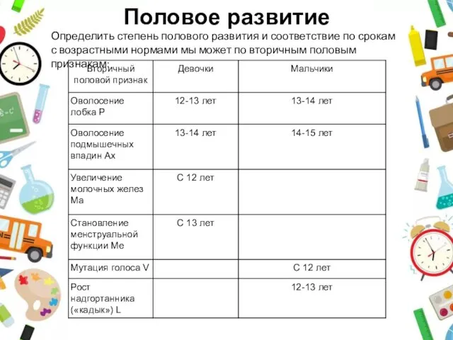 Половое развитие Определить степень полового развития и соответствие по срокам