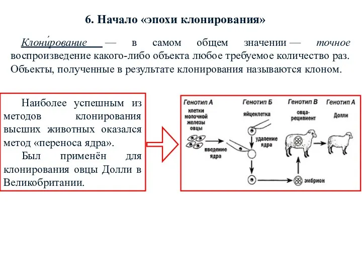 6. Начало «эпохи клонирования» Клони́рование — в самом общем значении