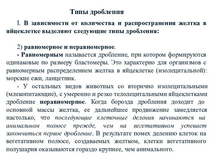 I. В зависимости от количества и распространения желтка в яйцеклетке