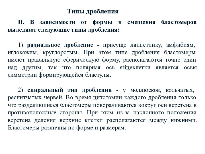 II. В зависимости от формы и смещения бластомеров выделяют следующие