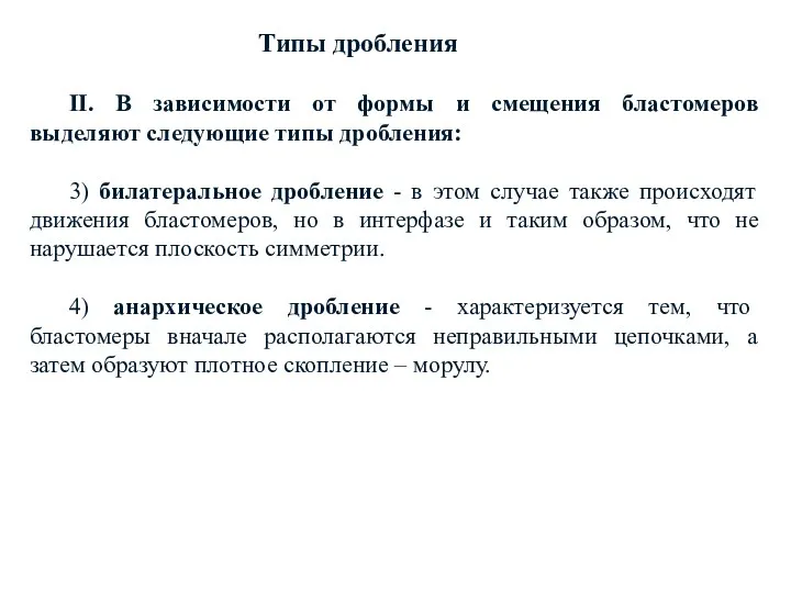 II. В зависимости от формы и смещения бластомеров выделяют следующие