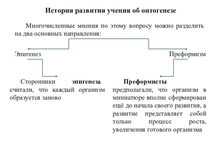 История развития учения об онтогенезе Многочисленные мнения по этому вопросу