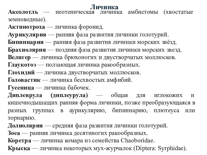 Личинка Аксолотль — неотеническая личинка амбистомы (хвостатые земноводные). Актинотроха —