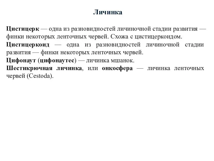 Личинка Цистицерк — одна из разновидностей личиночной стадии развития —