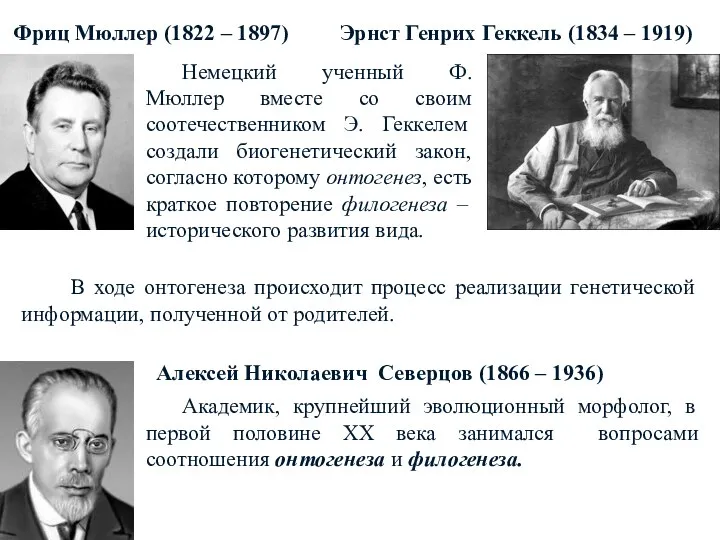 Фриц Мюллер (1822 – 1897) Немецкий ученный Ф. Мюллер вместе