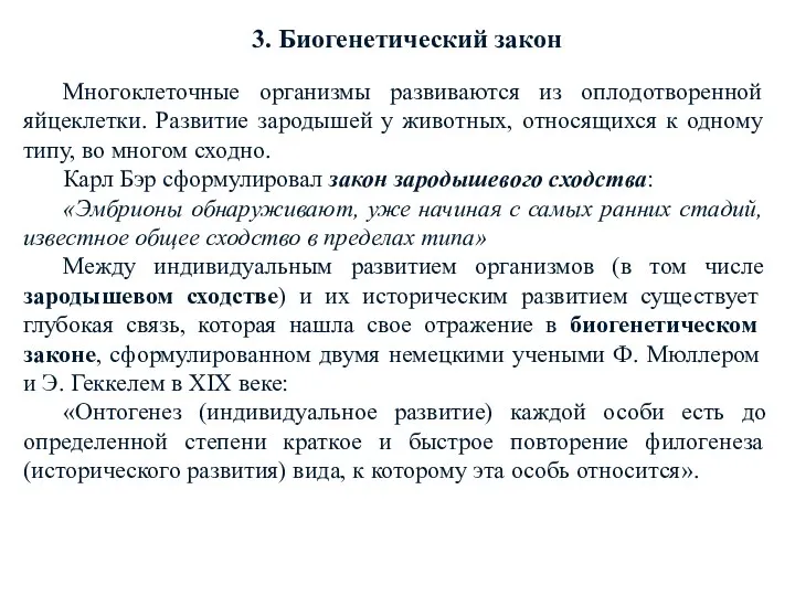 3. Биогенетический закон Многоклеточные организмы развиваются из оплодотворенной яйцеклетки. Развитие