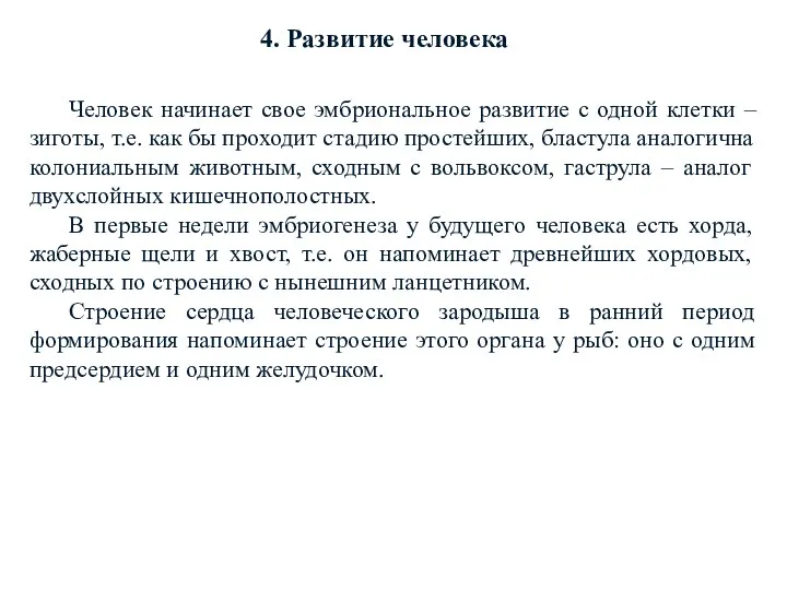 Человек начинает свое эмбриональное развитие с одной клетки – зиготы,