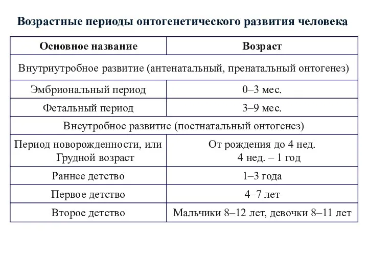 Возрастные периоды онтогенетического развития человека