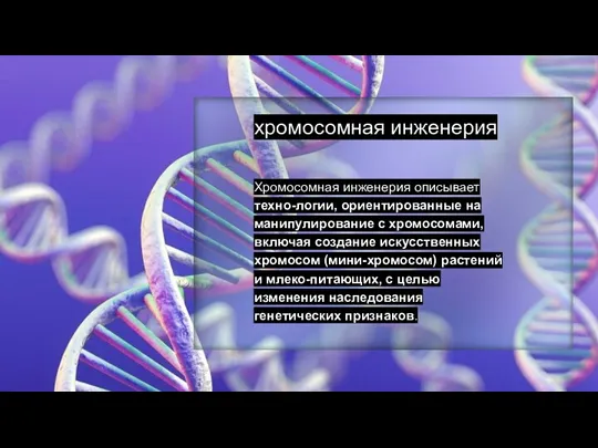 хромосомная инженерия Хромосомная инженерия описывает техно-логии, ориентированные на манипулирование с