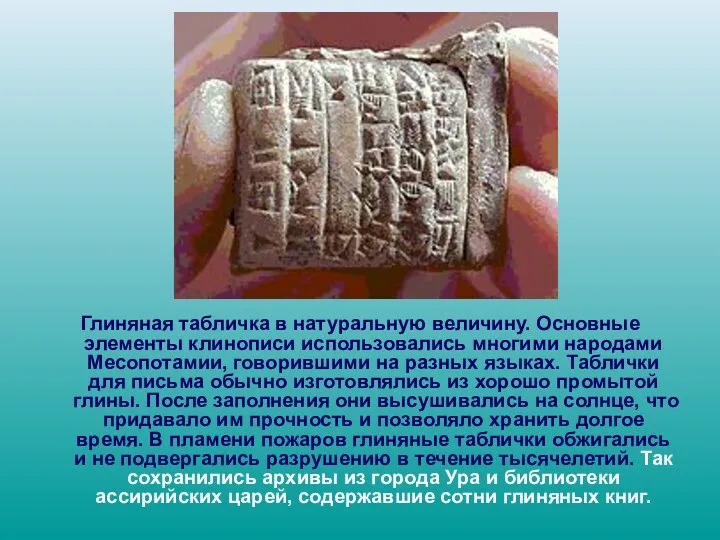 Глиняная табличка в натуральную величину. Основные элементы клинописи использовались многими