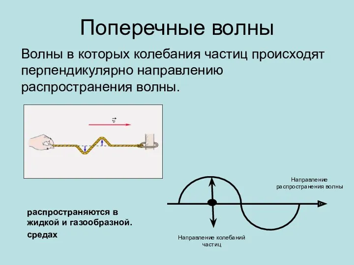 Поперечные волны Волны в которых колебания частиц происходят перпендикулярно направлению