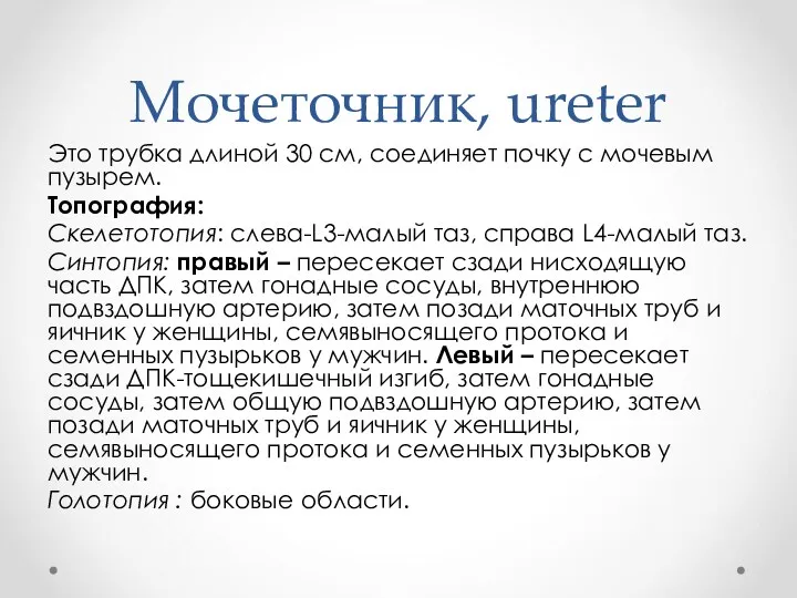 Мочеточник, ureter Это трубка длиной 30 см, соединяет почку с