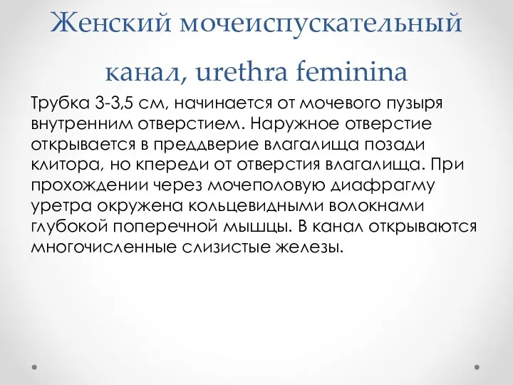 Женский мочеиспускательный канал, urethra feminina Трубка 3-3,5 см, начинается от