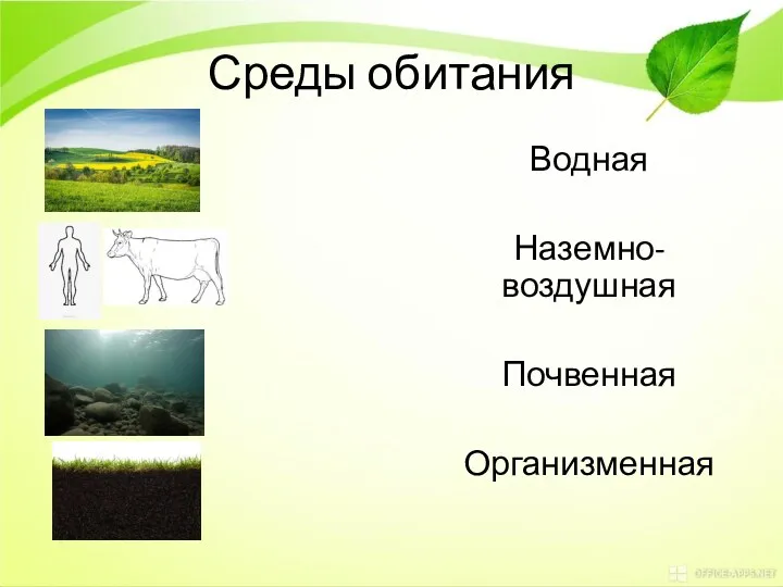 Среды обитания Водная Наземно-воздушная Почвенная Организменная