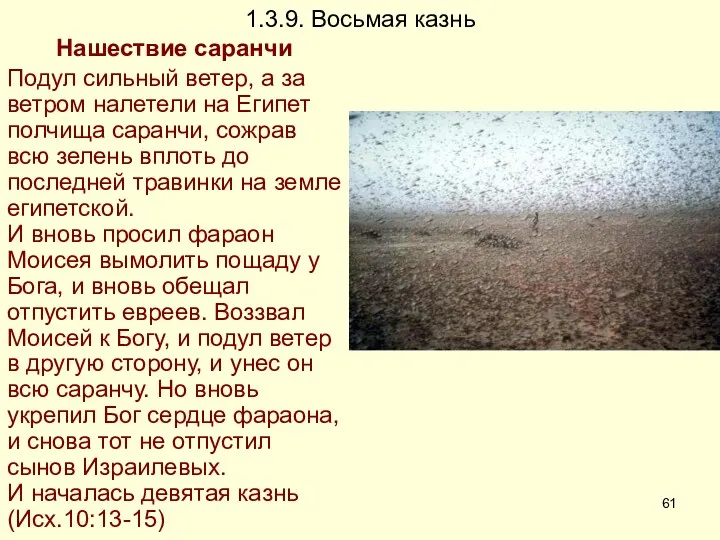 1.3.9. Восьмая казнь Нашествие саранчи Подул сильный ветер, а за