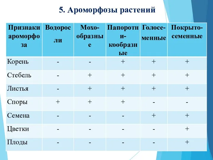 5. Ароморфозы растений