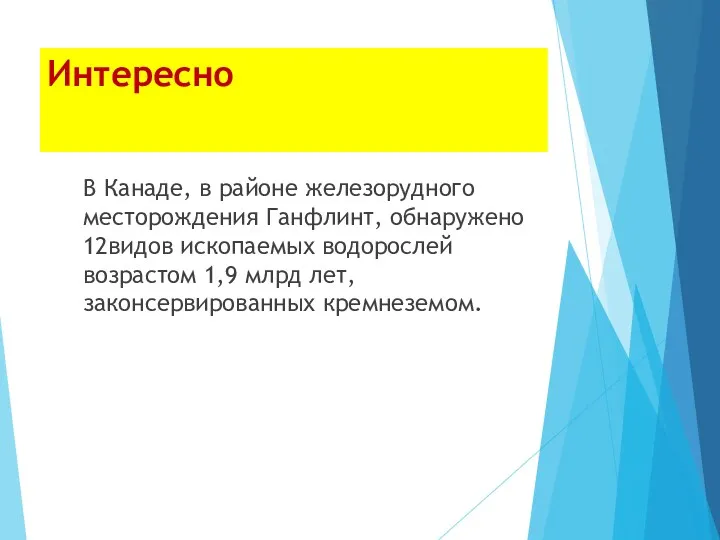 Интересно В Канаде, в районе железорудного месторождения Ганфлинт, обнаружено 12видов