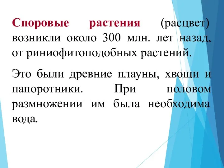 Споровые растения (расцвет) возникли около 300 млн. лет назад, от