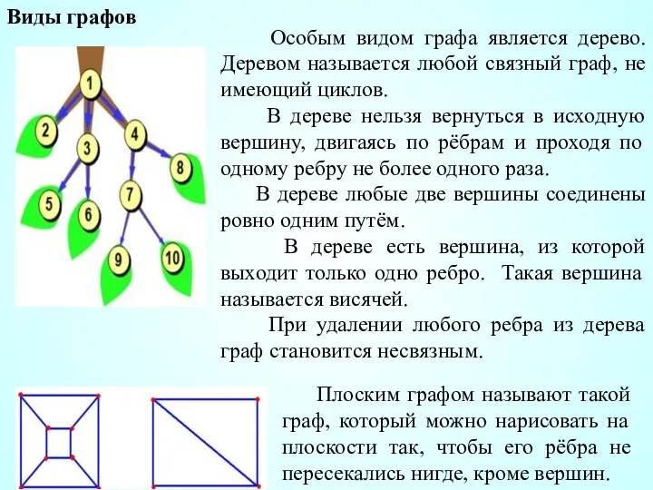 Особым видом графа является дерево. Деревом называется любой связный граф,