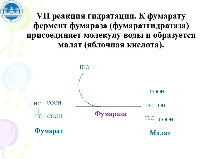 VII реакция гидратации. К фумарату фермент фумараза (фумаратгидратаза) присоединяет молекулу воды и образуется малат (яблочная кислота).