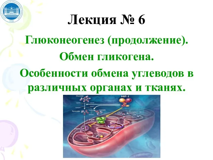 Лекция № 6 Глюконеогенез (продолжение). Обмен гликогена. Особенности обмена углеводов в различных органах и тканях.