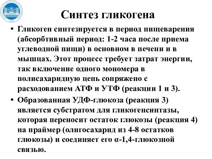 Синтез гликогена Гликоген синтезируется в период пищеварения (абсорбтивный период: 1-2