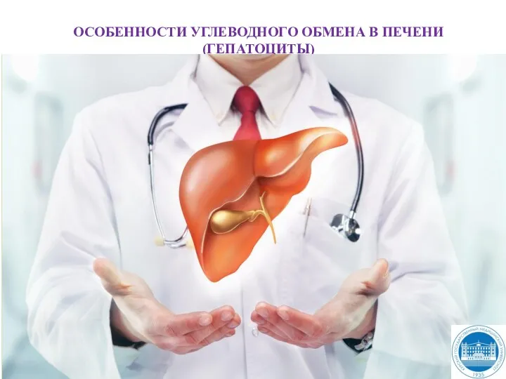 ОСОБЕННОСТИ УГЛЕВОДНОГО ОБМЕНА В ПЕЧЕНИ (ГЕПАТОЦИТЫ) 1. Превращение фруктозы и