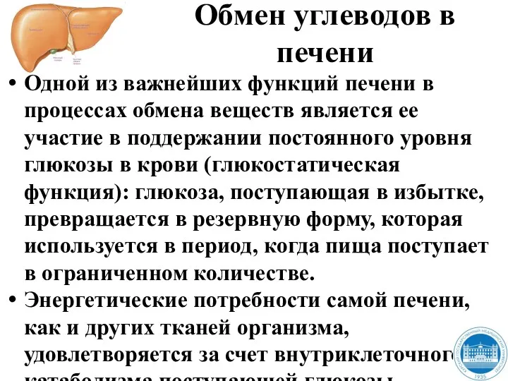 Обмен углеводов в печени Одной из важнейших функций печени в