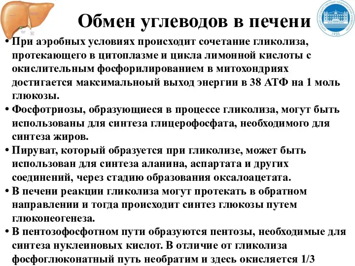 Обмен углеводов в печени При аэробных условиях происходит сочетание гликолиза,