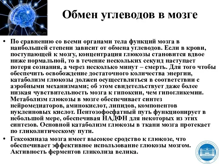 Обмен углеводов в мозге По сравнению со всеми органами тела