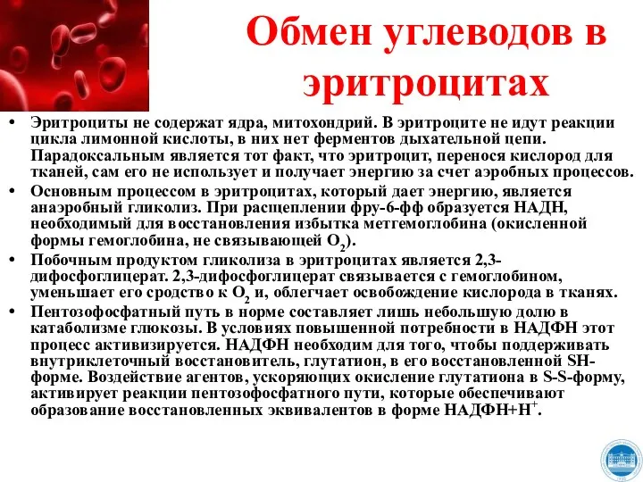 Обмен углеводов в эритроцитах Эритроциты не содержат ядра, митохондрий. В