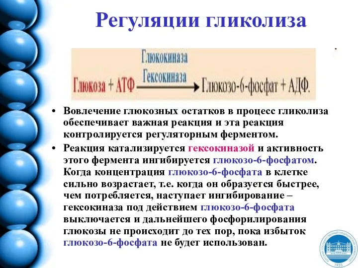 Регуляции гликолиза Вовлечение глюкозных остатков в процесс гликолиза обеспечивает важная