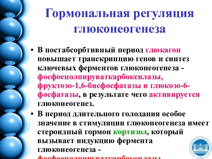 Гормональная регуляция глюконеогенеза В постабсорбтивный период глюкагон повышает транскрипцию генов