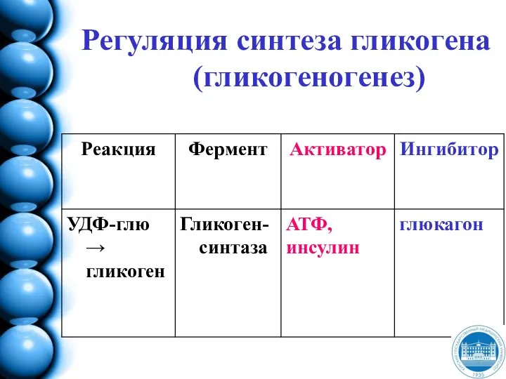 Регуляция синтеза гликогена (гликогеногенез)