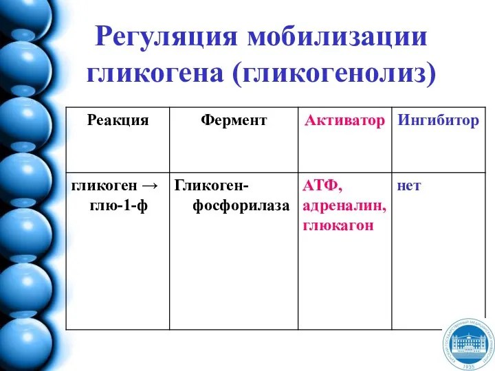 Регуляция мобилизации гликогена (гликогенолиз)