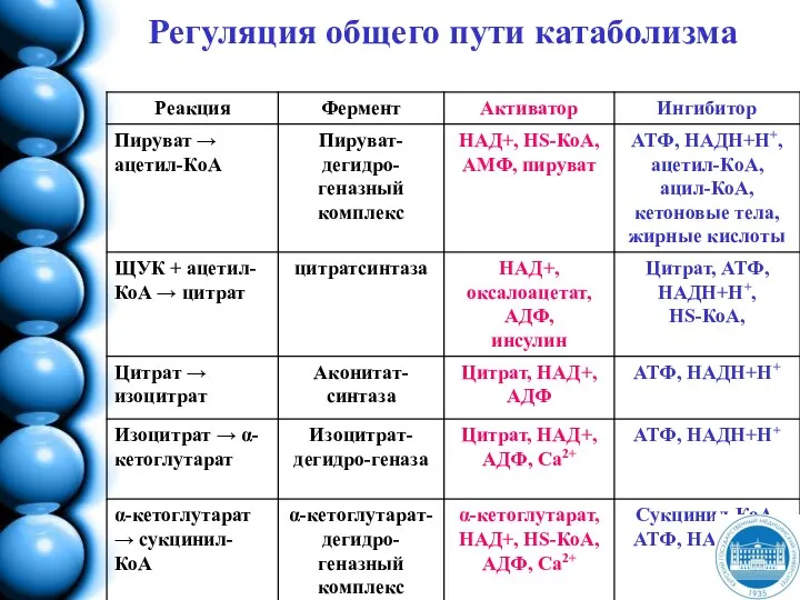 Регуляция общего пути катаболизма