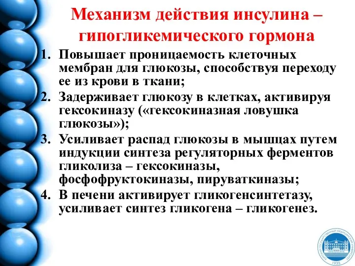 Механизм действия инсулина – гипогликемического гормона Повышает проницаемость клеточных мембран