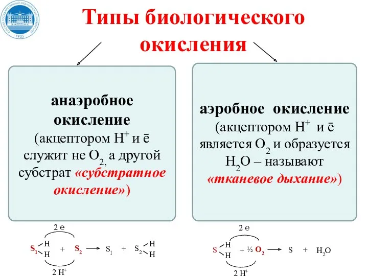 Типы биологического окисления анаэробное окисление (акцептором Н+ и ē служит