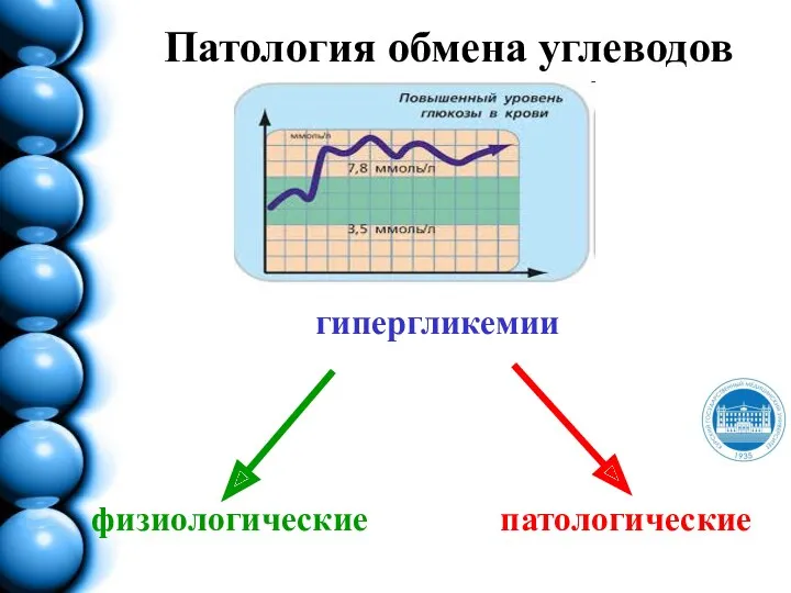 Патология обмена углеводов гипергликемии физиологические патологические