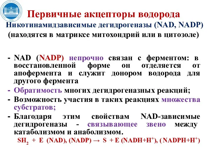 Первичные акцепторы водорода Никотинамидзависимые дегидрогеназы (NAD, NADР) (находятся в матриксе