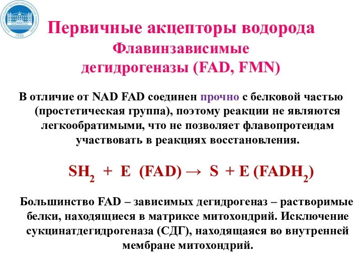 Первичные акцепторы водорода Флавинзависимые дегидрогеназы (FAD, FMN) В отличие от