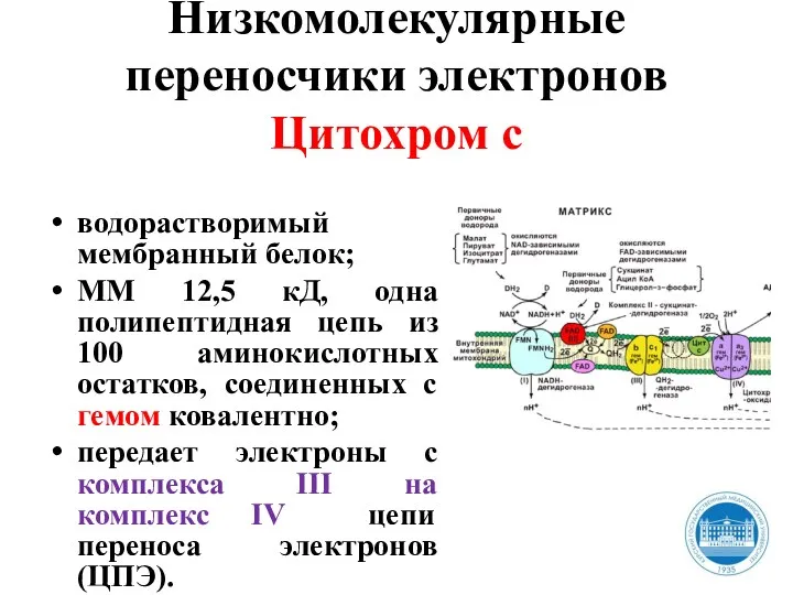 Низкомолекулярные переносчики электронов Цитохром с водорастворимый мембранный белок; ММ 12,5