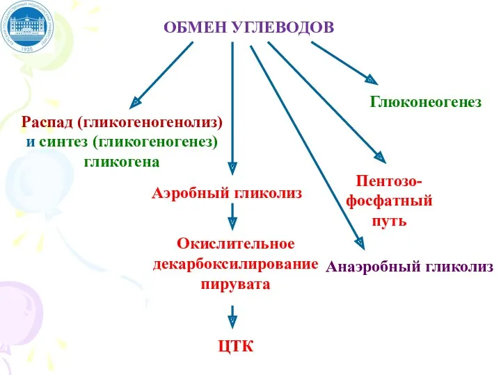 ОБМЕН УГЛЕВОДОВ Распад (гликогеногенолиз) и синтез (гликогеногенез) гликогена Аэробный гликолиз