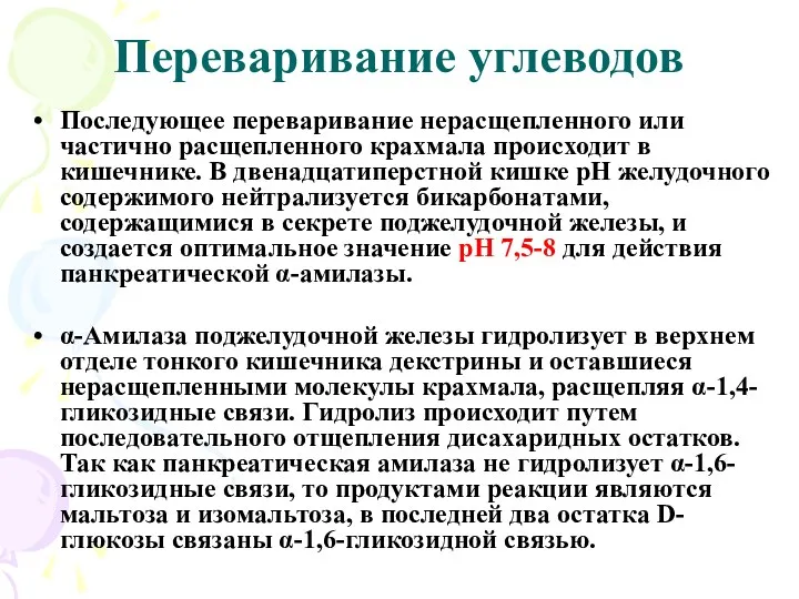 Переваривание углеводов Последующее переваривание нерасщепленного или частично расщепленного крахмала происходит