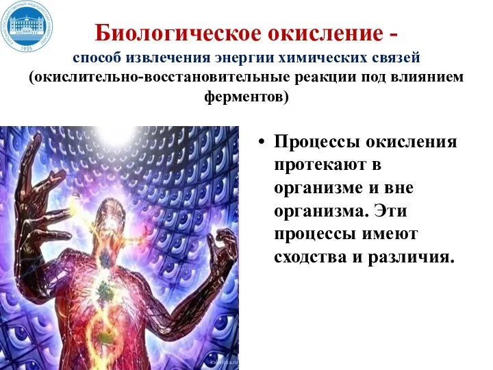 Процессы окисления протекают в организме и вне организма. Эти процессы